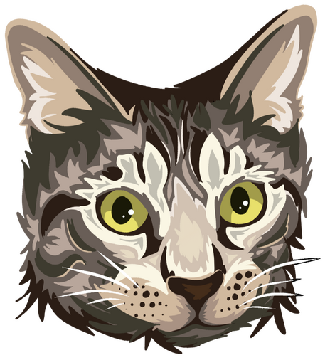 Flat Layer Headshot ($15 - USD)